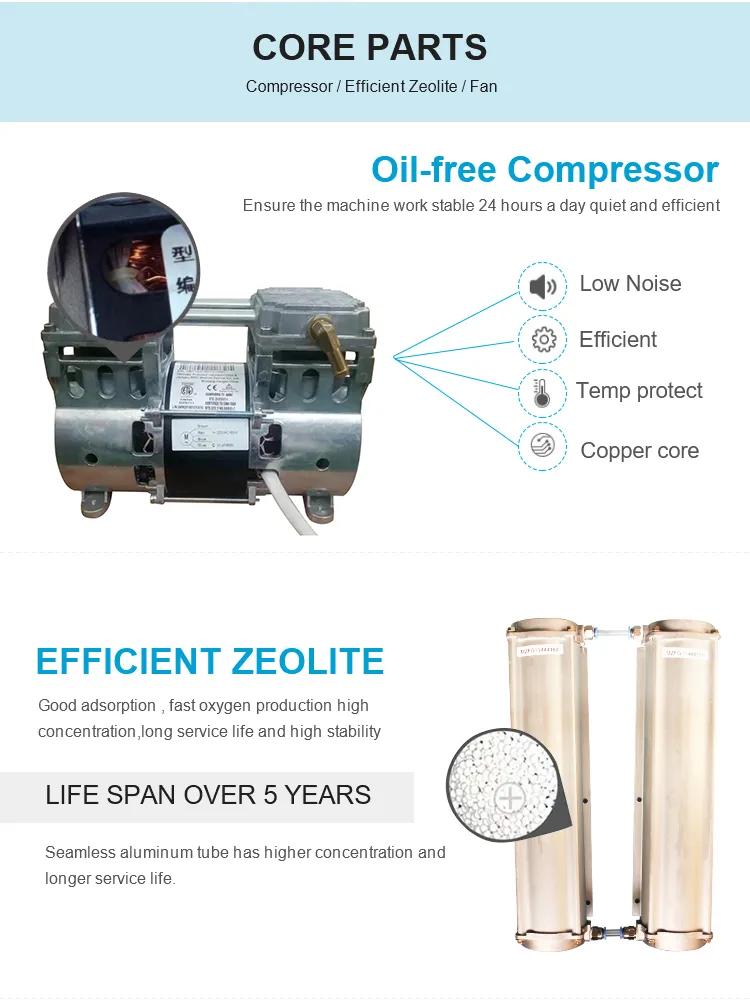 Physical Therapy Equipment Domestic Use Oxygen Machines for Patient with Respiratory Disorder