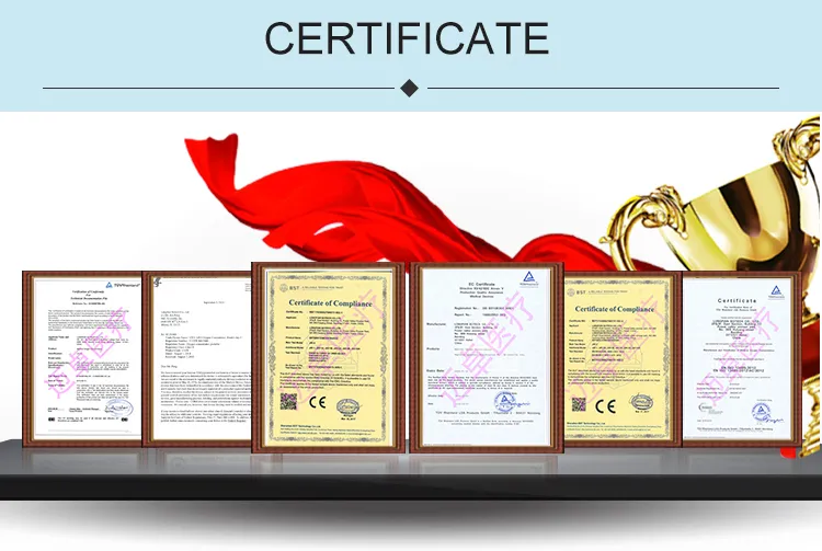 Physical Therapy Equipment Domestic Use Oxygen Machines for Patient with Respiratory Disorder