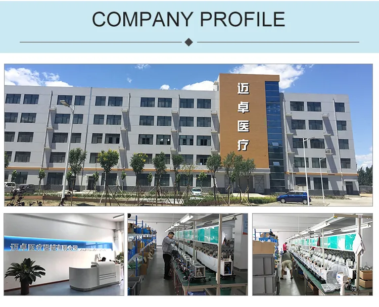 Physical Therapy Equipment Domestic Use Oxygen Machines for Patient with Respiratory Disorder