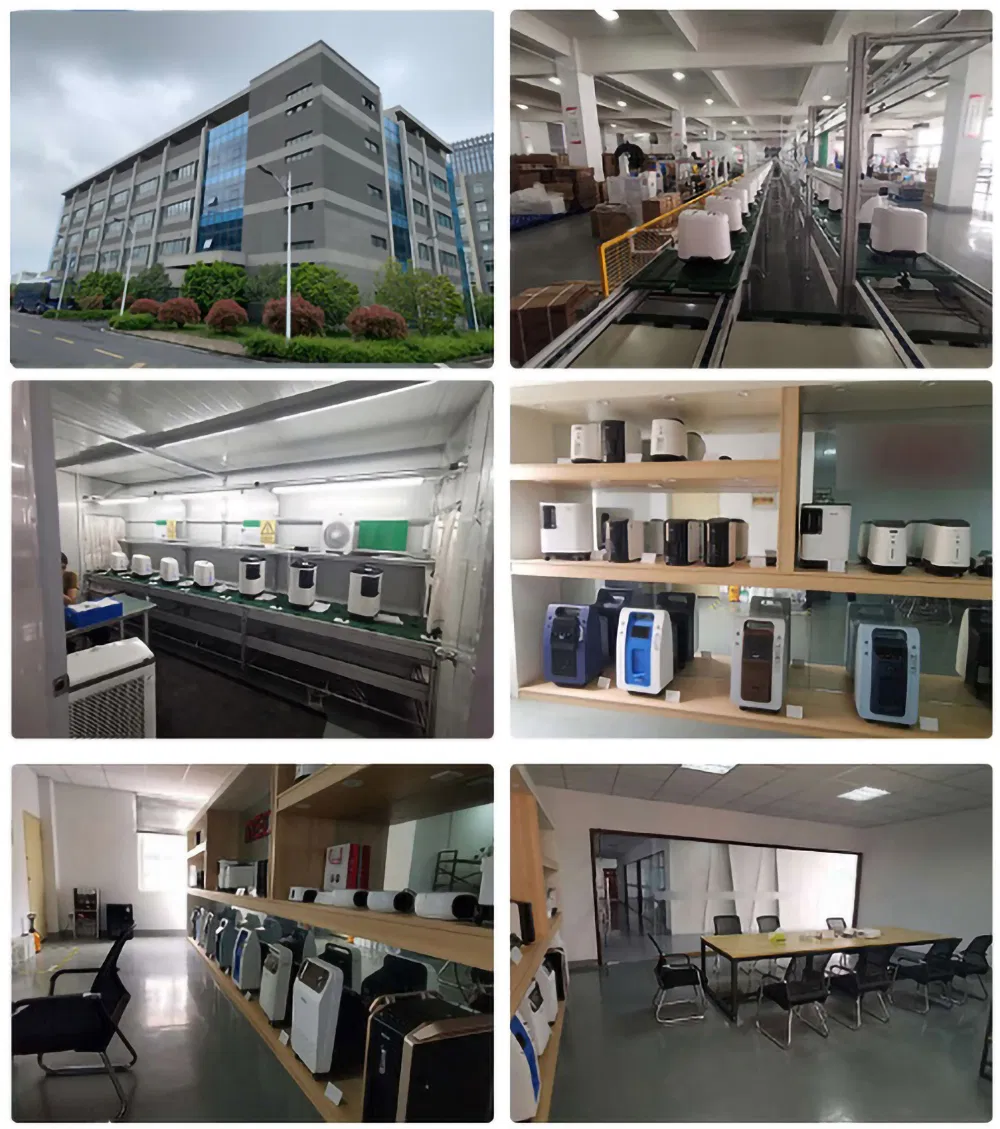 Physical Therapy Equipments Medical Used 5L 8L 10L Oxygen Concentrator with CE ISO Certificate