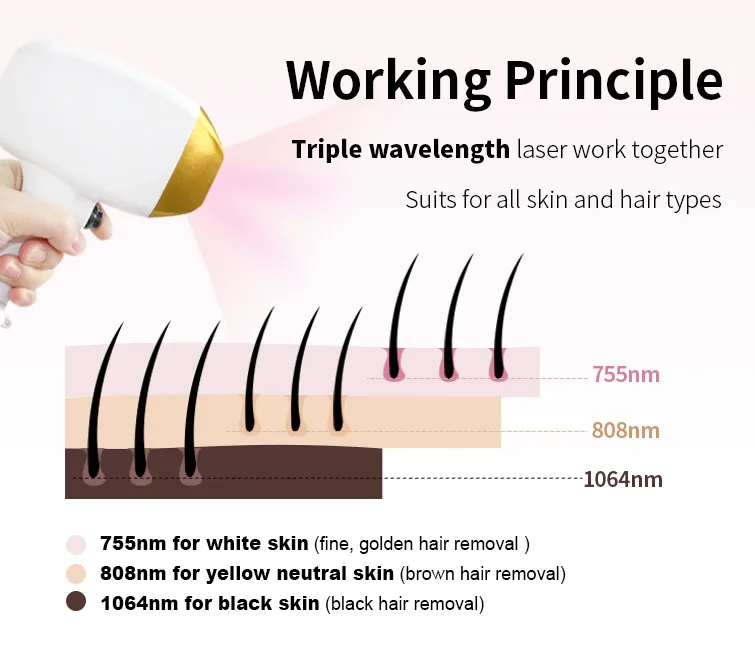 Price 3 Wavelength Diode Laser Hair Removal 1200W 1600W 755 808 1064 Laser