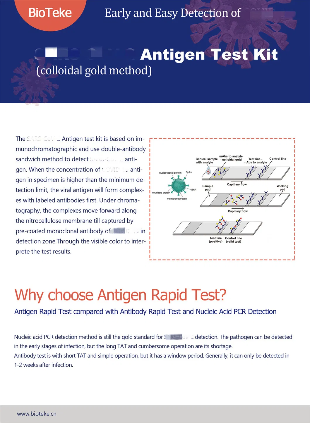 Rbd Hospital Test Cassette with Pharyngeal Swab