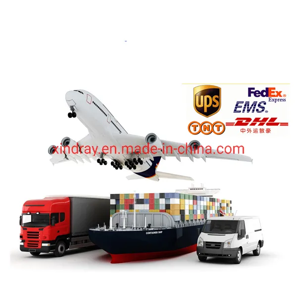 Reagent Touch Screen Automatic Portable Blood Testing Analysis Machine Medical Hematology Analyzer