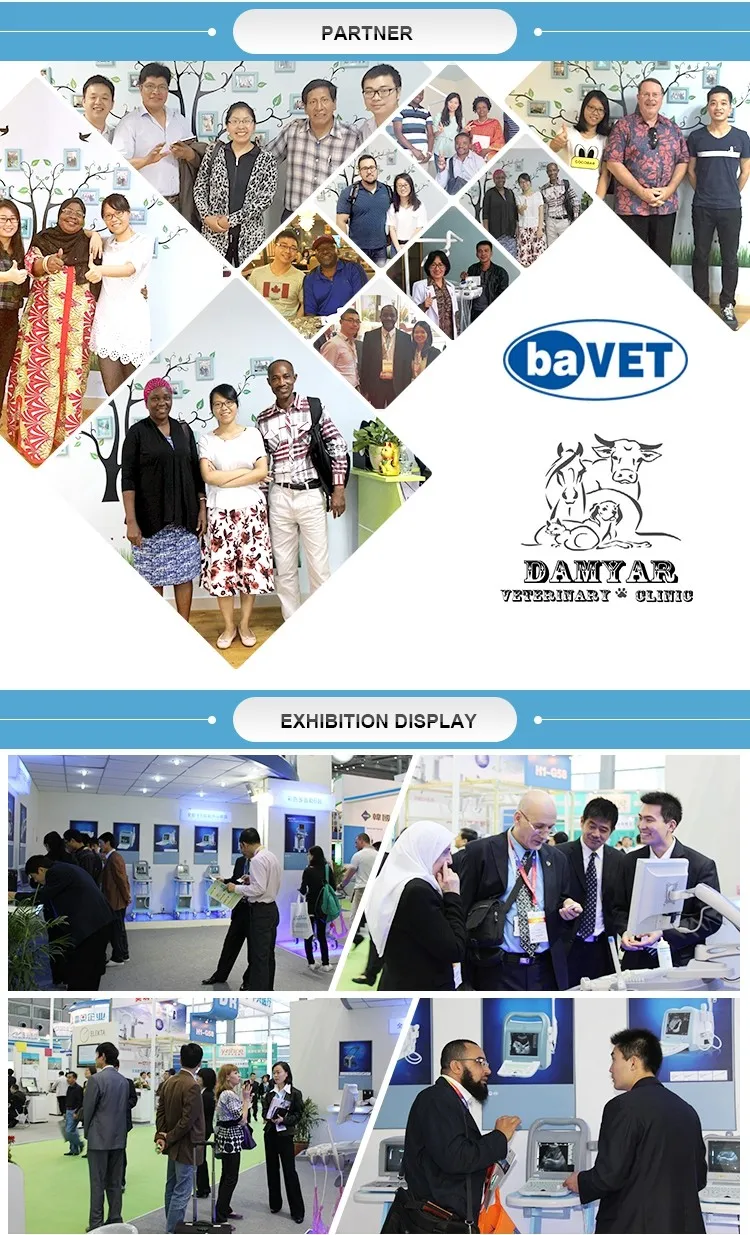 Real-Time PCR Genetic Analysis Detection System Mslpcr05