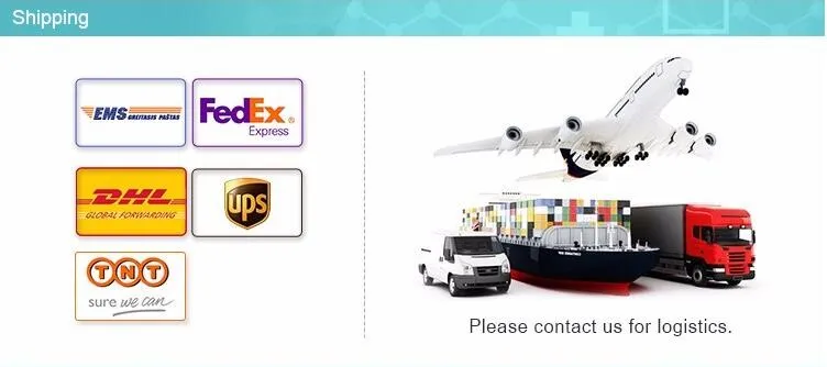 Real-Time PCR Genetic Analysis Detection System Mslpcr05