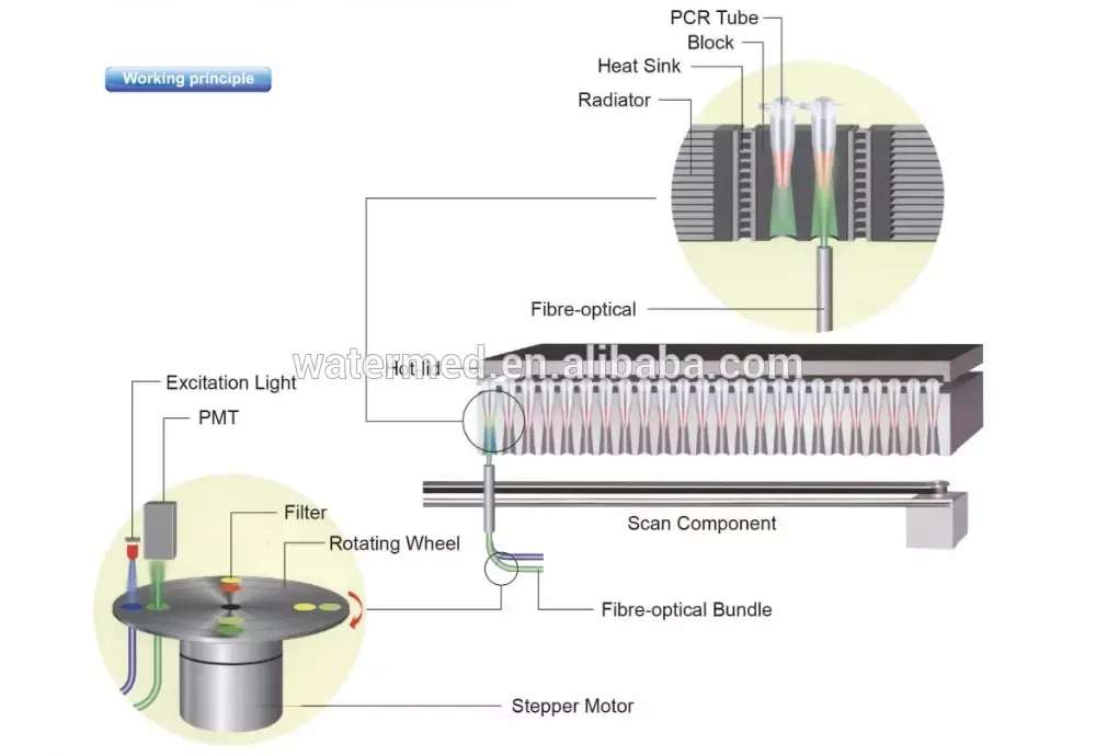Real-Time PCR Genetic Analysis Detection System Mslpcr05