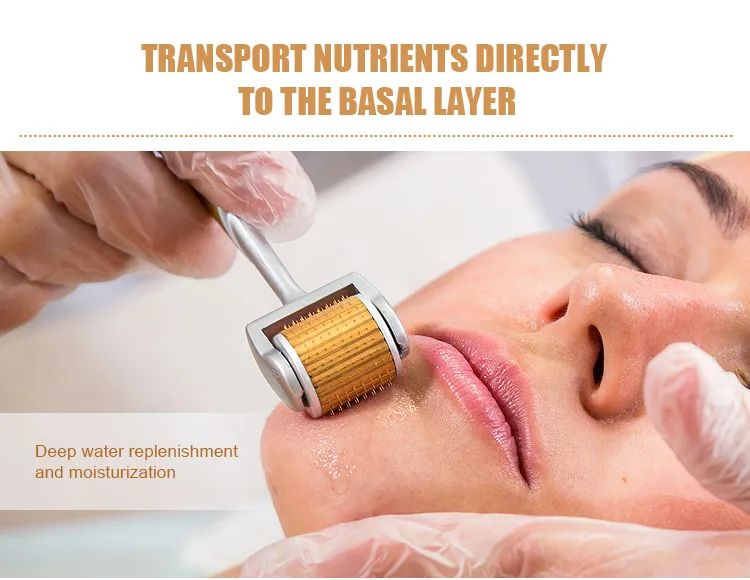 Replacement Head Derma Tool Mts Skin Care Roller 1mm with Gold Micro-Needle Therapy System Mts