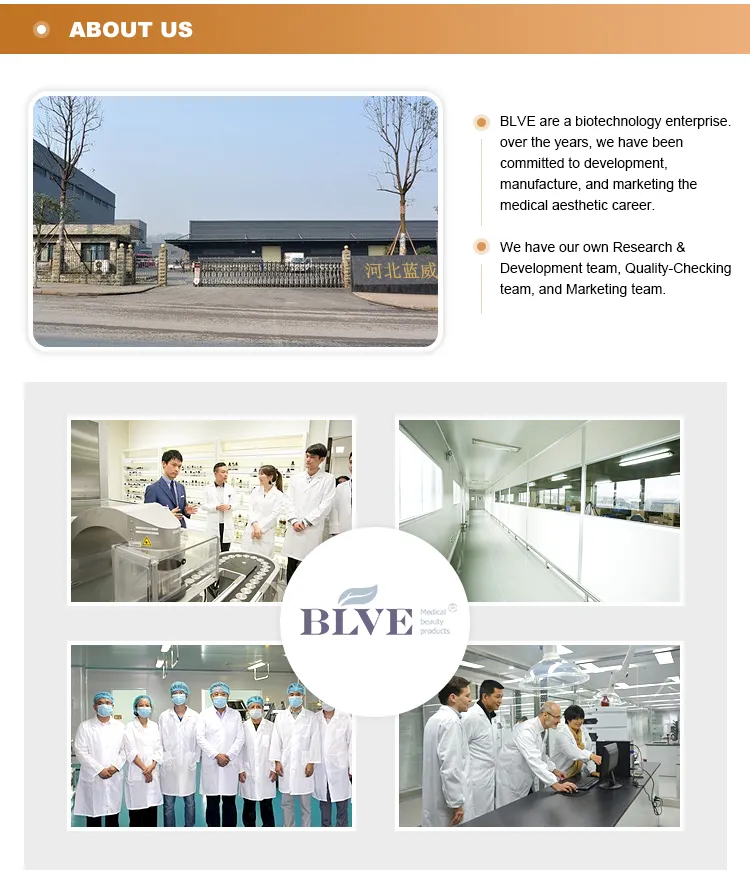 Replacement Head Derma Tool Mts Skin Care Roller 1mm with Gold Micro-Needle Therapy System Mts