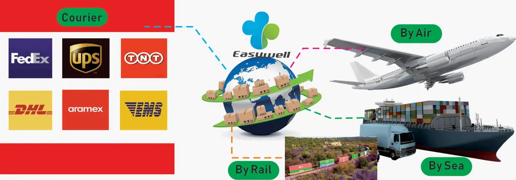 Six Channel Electrocardiograph ECG-3306b ECG Machine Digital ECG