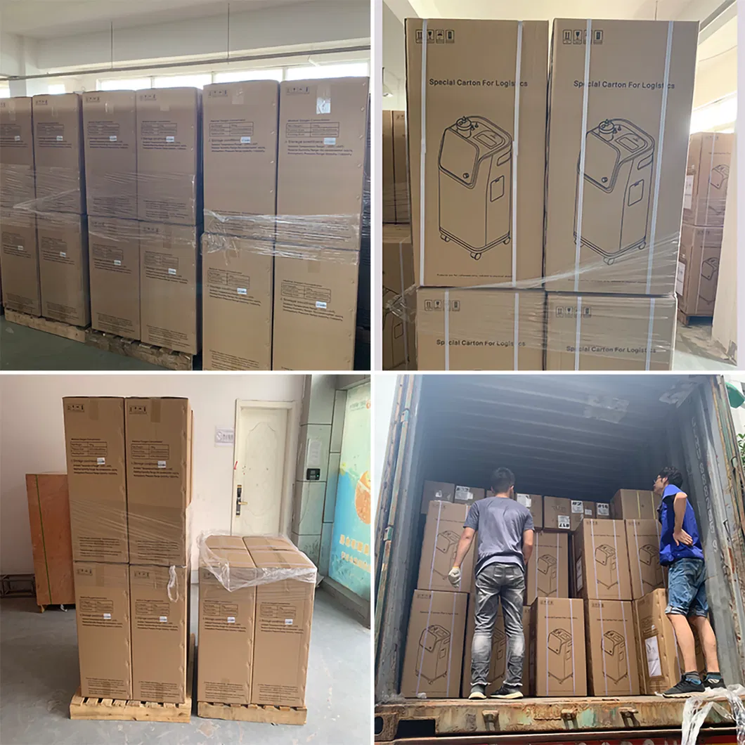 Small Portable Oxygen Concentrate Concentrador De Oxigeno Ocygen Generator with Time-Consuming Function