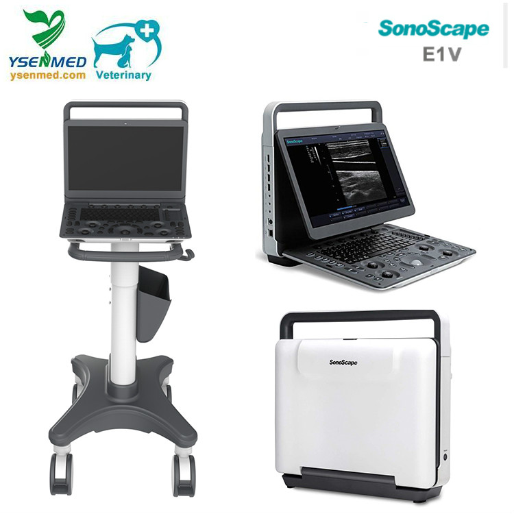 Sonoscape E1V Ultrasound Machines Veterinary Color Doppler Ultrasound