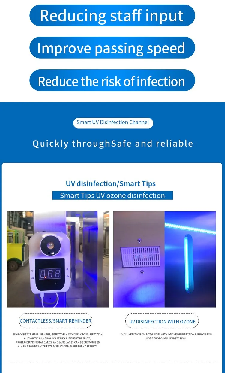 Temperature Measurement Sanitizing Tunnel, Foldable Mist Disinfection Tunnel Cabin/