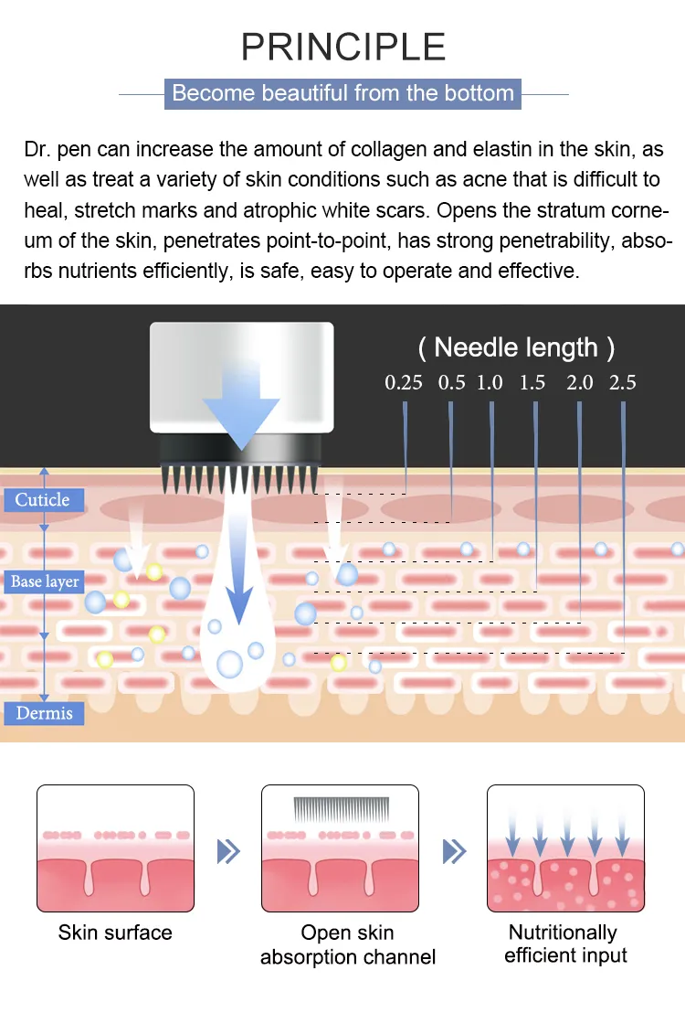Trendung Microneedling Dermapen Dr. Pen Electric Micro Needle Skin Beauty Anti-Ageing Acne Scars Freckle