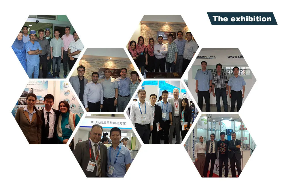 Wego CE SLA Microdual Tread Dental Implant Tooth Implant