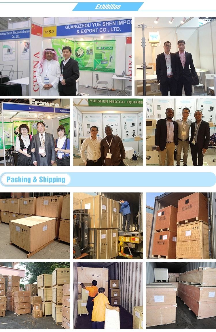 Ysgbs-9c Portable Video Flexible Cystoscope